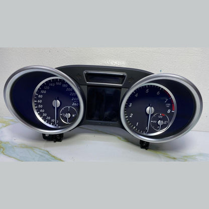 Benz Instrument Cluster A1669007110