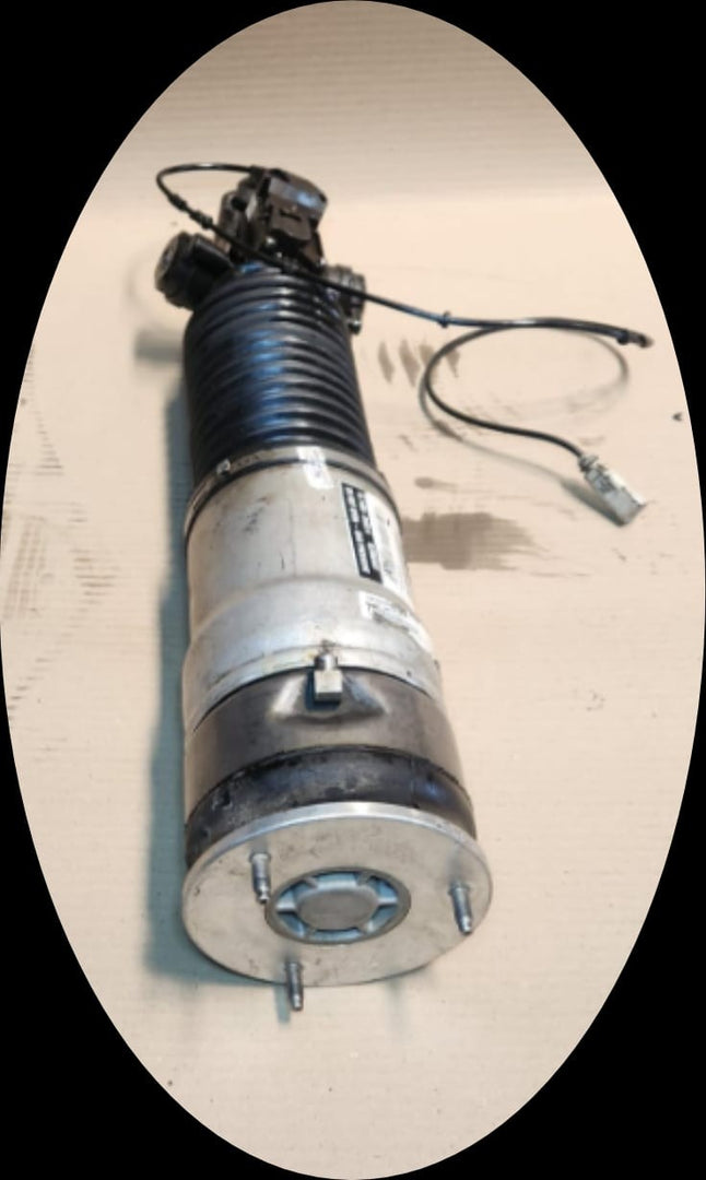 2009-2012 BMW 750Li 7 Series F02 F04 Rear Right Air Suspension Strut 6796930 