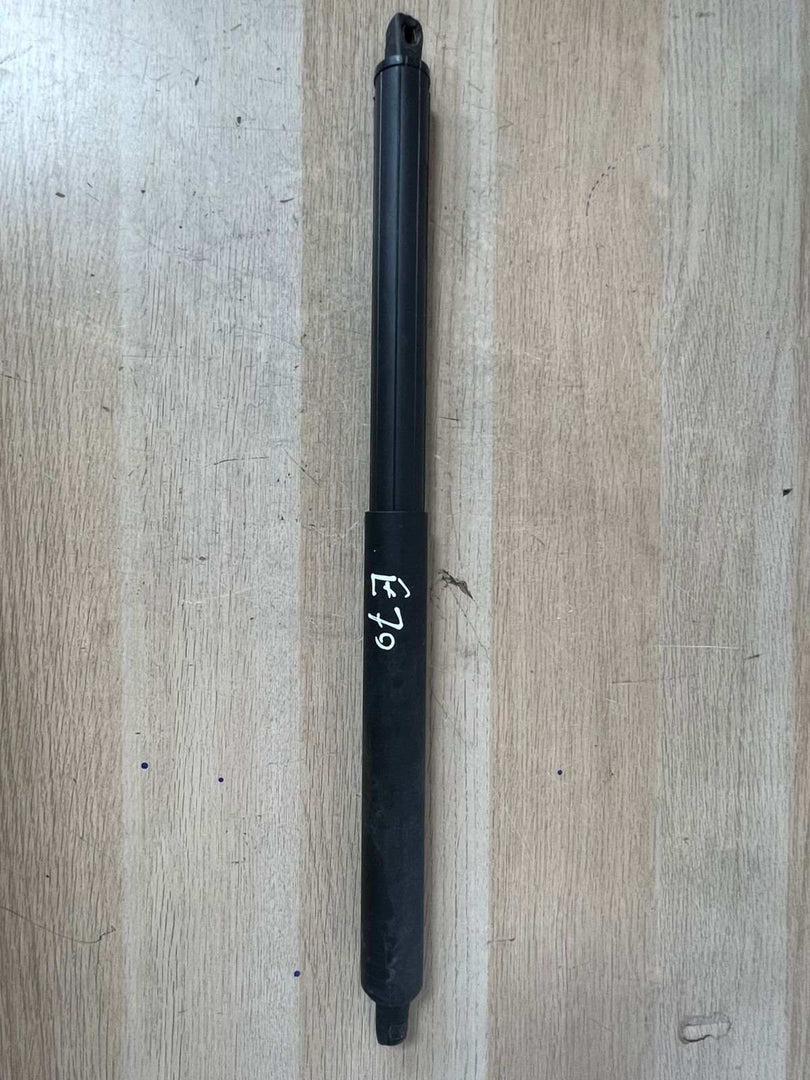  2007-2013 OEM tailgate strut for BMW X5 E70 7177283