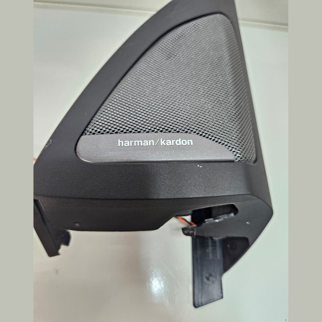 2019 BMW X5 G05 X7 G07 Front Door Speaker 7445518 OEM