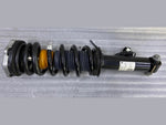 Bild in die Galerieansicht laden, OEM BMW F97 F98 Strut Rear Left Shock Absorber VDC Spring 8067507