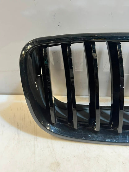 2007-2010 BMW X5 E70 and 5 Series GT F07 Front Kidney Grille 7171396 OEM