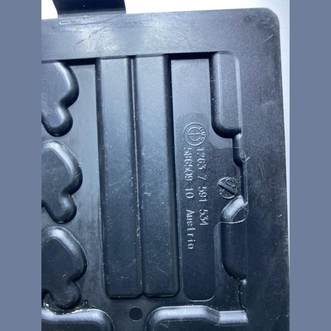 2010-19 BMW X6 X5, X6, 3 Series 5 Series 6 Ser INTEGRITED SUPPLY MODULE 7591534