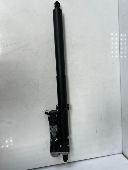 2016-2017 BMW 320i 428i, 430i, 435i, 440i F36 Tailgate Lift Strut 2586402 OEM
