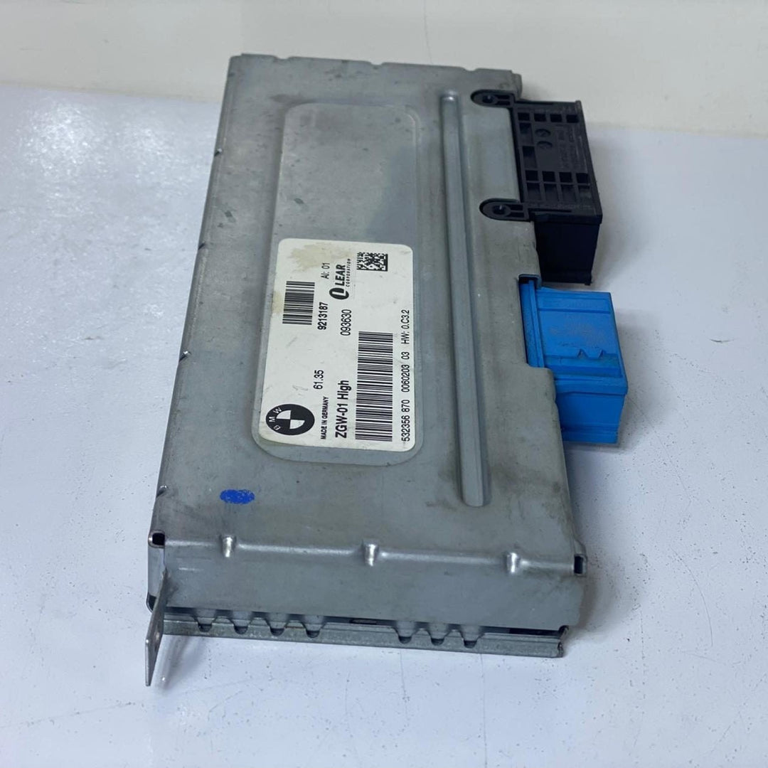 2009-2011 BMW 750i 5, 6, 7 Series CENTRAL GATEWAY CONTROL MODULE 9213187 OEM