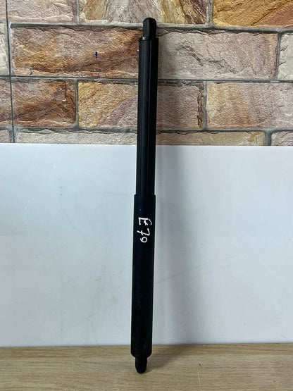  2007-2013 OEM tailgate strut for BMW X5 E70 7177283