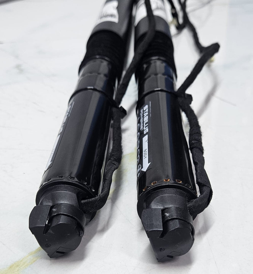 OEM BMW XM G09 Spindle Drive Tailgate Electric Trunk Gas Spring Shocks 9451743