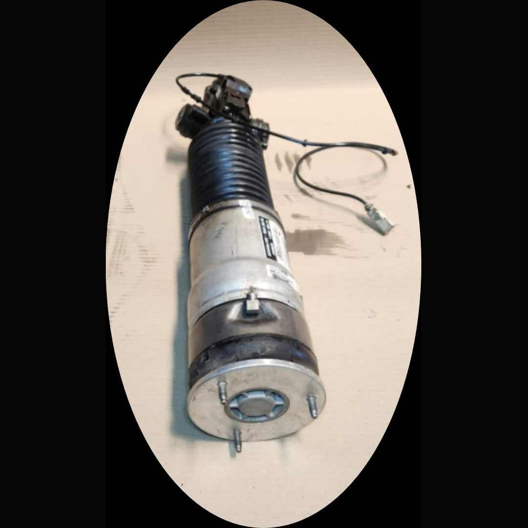 2009-2012 BMW 750Li 7 Series F02 F04 Rear Right Air Suspension Strut 6796930 