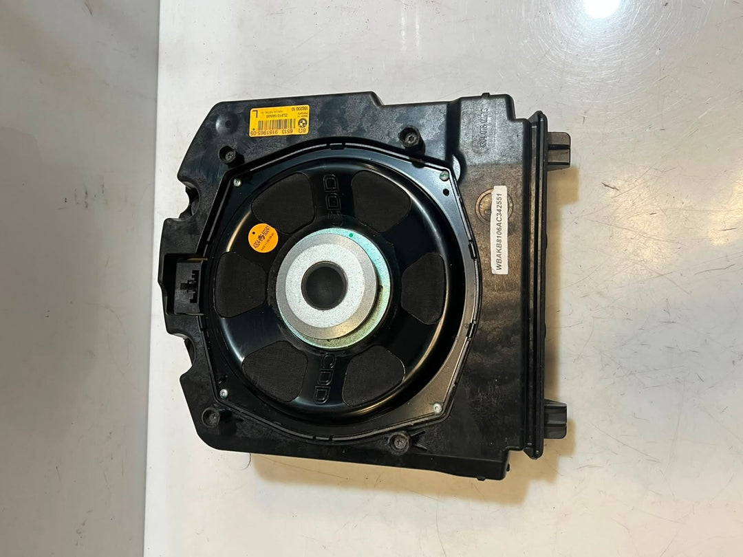 BMW 740i 7 Series F01 F02 F03 F04 Subwoofer Speaker 9151965 9151966 OEM