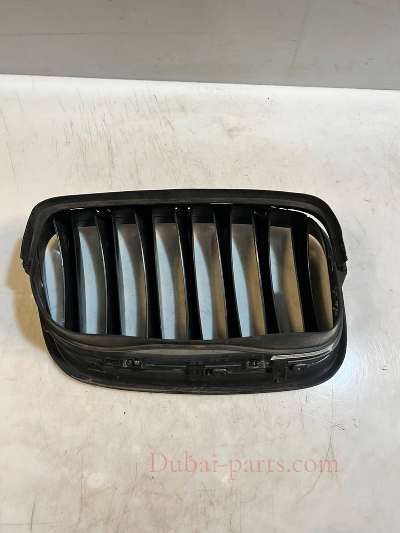 2007-2013 BMW X5 E70 X6 E71 Front Bumper Kidney Grille 7171395 OEM