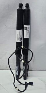 OEM BMW XM G09 Spindle Drive Tailgate Electric Trunk Gas Spring Shocks 9451743