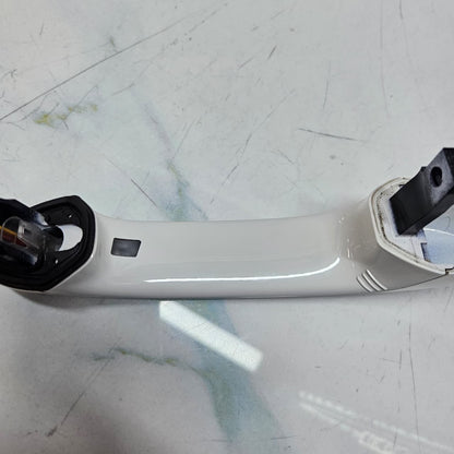 Genuine Brand New 2019-2021 BMW X3 G01 X4 G02 Exterior Door Handle 8492019