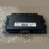 OEM BMW X5 E70 Footwell ECU Light Control Unit Module FRM II Lear 9166667