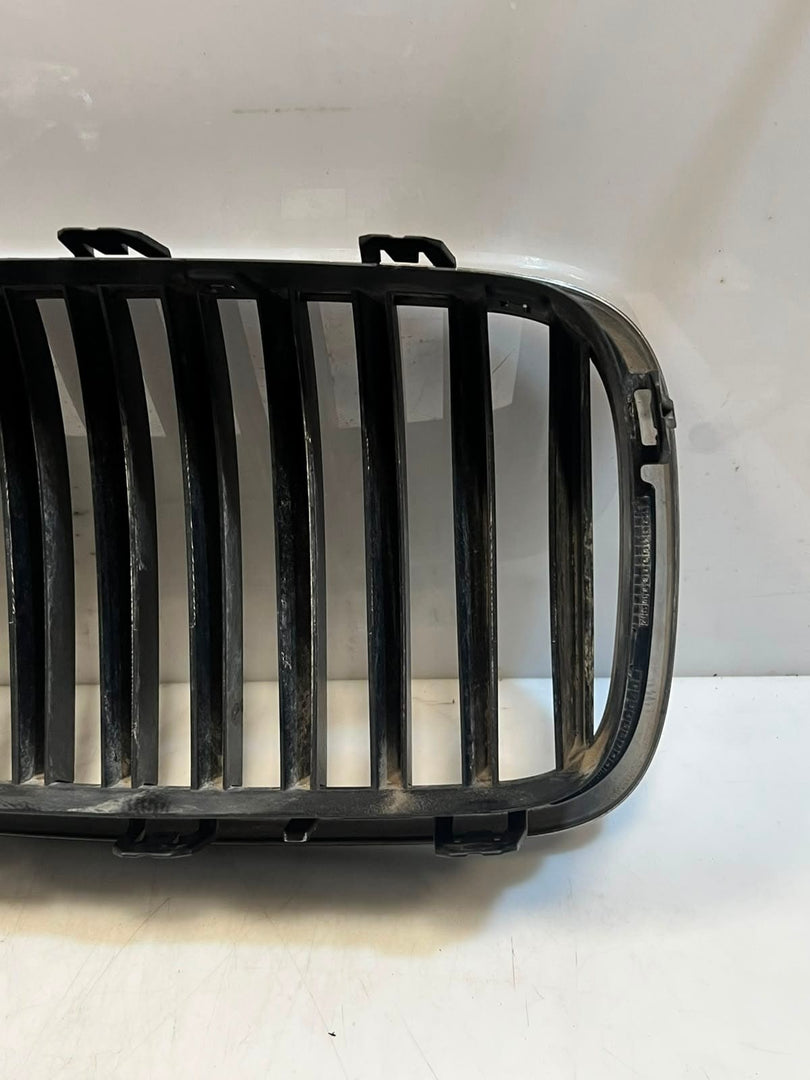 2010-2013 BMW 528i 535i 5 Series F10 F11 Front Bumper Kidney Grille 7200727