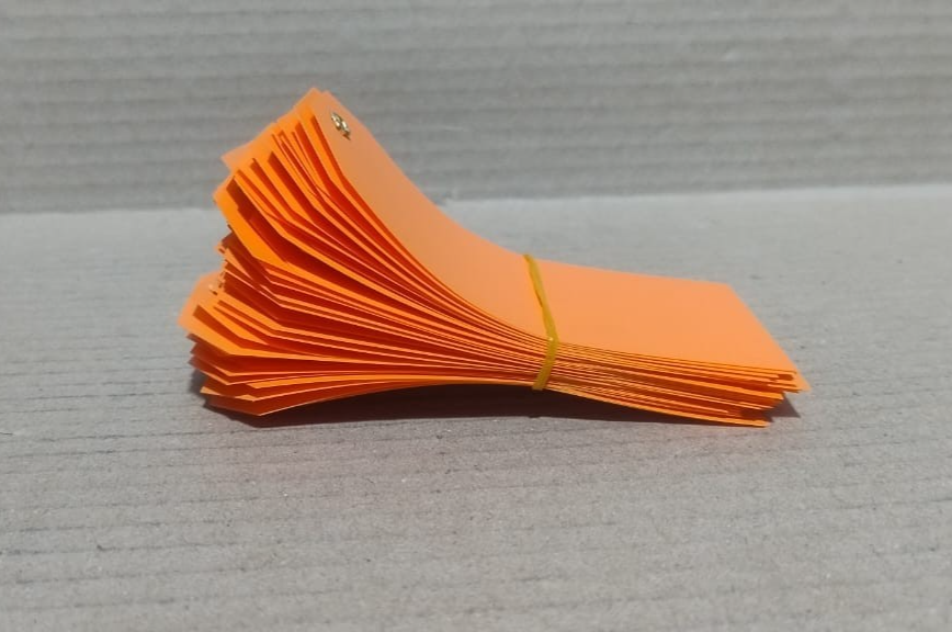 ACRYLIC TAG WITH METAL EYELET – THIN PLASTIC LABEL - IND/CRAFT ID TAG ORANGE