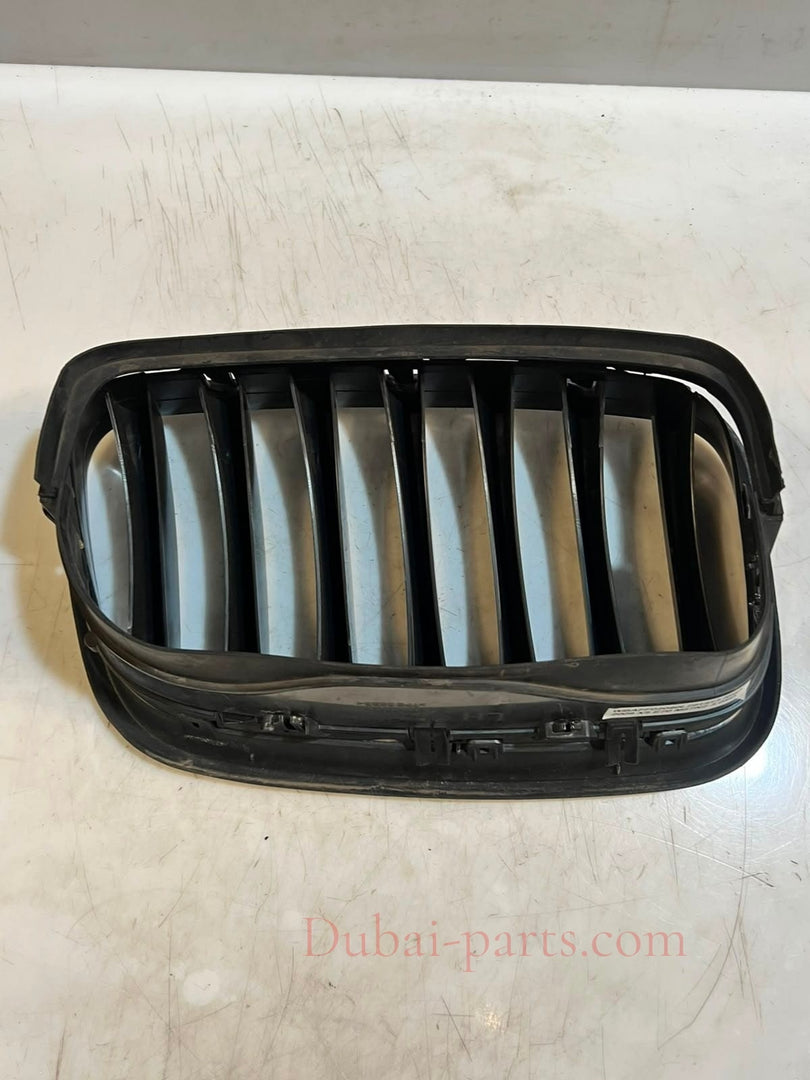 2007-2013 BMW X5 E70 X6 E71 Front Bumper Kidney Grille 7171395 OEM