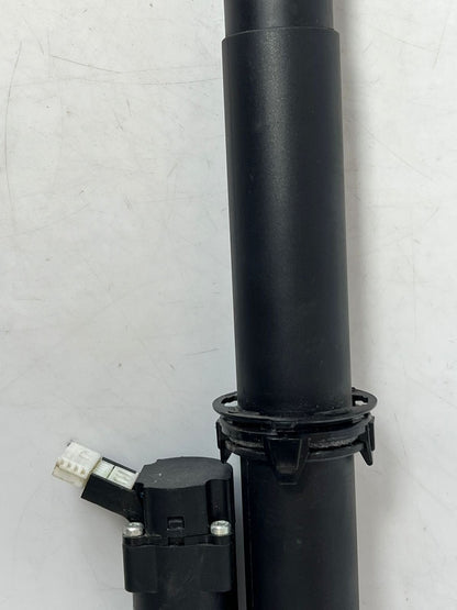 2016-2017 BMW 320i 428i, 430i, 435i, 440i F36 Tailgate Lift Strut 2586402 OEM