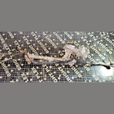 OEM BMW Mini F56 Electric Power Steering Rack RHD-6870486