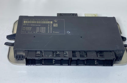 2009-2016 BMW 535i F07, F18, F10, F11,FOOTWELL LIGHT CONTROL MODULE FRM3 9274276
