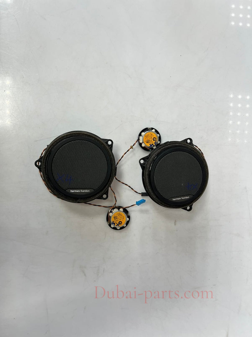 2010-2017 BMW X3 F25 and X4 F26 Front Door Speaker 9209185 OEM