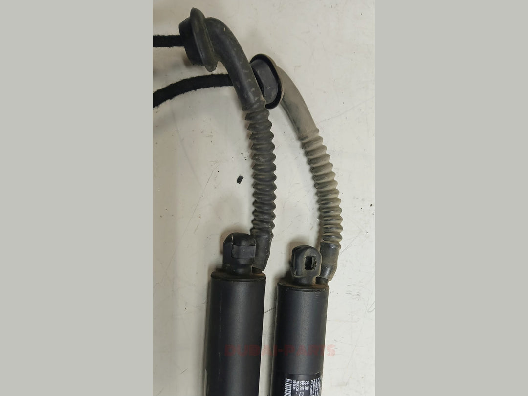 14-18 BMW X5 X5M F15 F85 Trunk Lid Liftgate Shock Support Left Right Set OEM