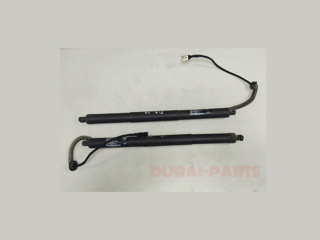 14-18 BMW X5 X5M F15 F85 Trunk Lid Liftgate Shock Support Left Right Set OEM