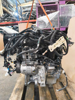 Bild in die Galerieansicht laden, BMW B48B20S 2.0L Turbo Mild Hybrid Motor X6 G06 xDrive30i LCI 190 kW 258 PS 15 km Gebraucht 2023 