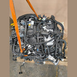 BMW B48B20S 2,0L Turbo Mild-Hybrid-Motor X6 G06 xDrive30i LCI 190 kW 258 PS 15 km Gebraucht 2023